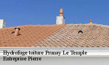 Hydrofuge toiture prunay-le-temple-78910 Entreprise Pierre