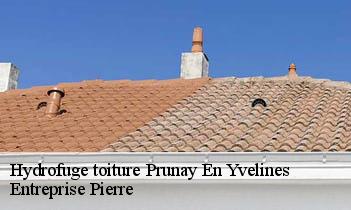 Hydrofuge toiture prunay-en-yvelines-78660 Entreprise Pierre