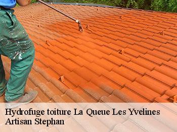 Hydrofuge toiture  la-queue-les-yvelines-78940 Artisan Stephan