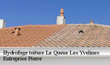 Hydrofuge toiture la-queue-les-yvelines-78940 Entreprise Pierre