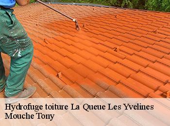 Hydrofuge toiture la-queue-les-yvelines-78940 Mouche Tony