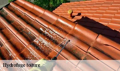 Hydrofuge toiture