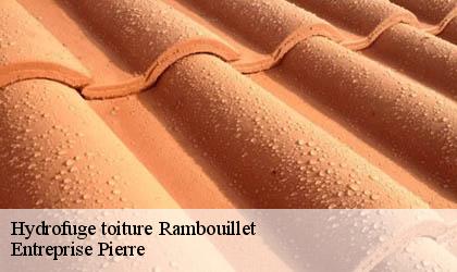 Hydrofuge toiture 78120