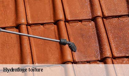 Hydrofuge toiture 78120