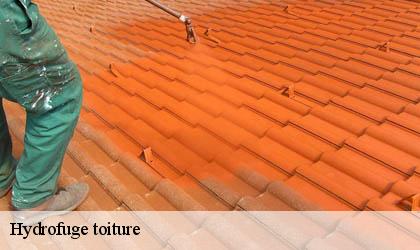 Hydrofuge toiture
