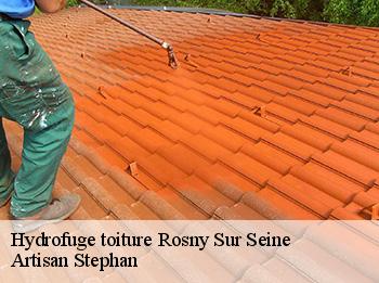 Hydrofuge toiture  rosny-sur-seine-78710 Artisan Stephan