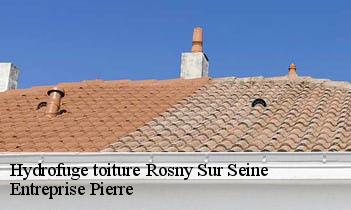 Hydrofuge toiture rosny-sur-seine-78710 Entreprise Pierre