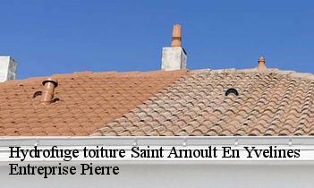 Hydrofuge toiture saint-arnoult-en-yvelines-78730 Entreprise Pierre