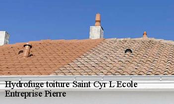Hydrofuge toiture saint-cyr-l-ecole-78210 Entreprise Pierre