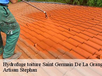 Hydrofuge toiture  saint-germain-de-la-grange-78640 Artisan Stephan