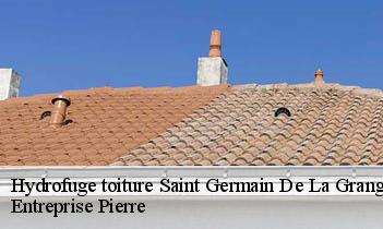 Hydrofuge toiture  saint-germain-de-la-grange-78640 Entreprise Pierre