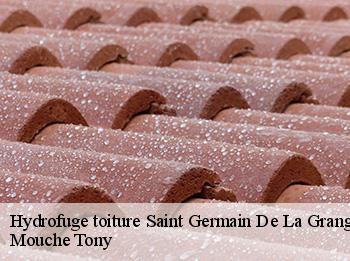 Hydrofuge toiture 78640