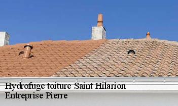 Hydrofuge toiture  saint-hilarion-78125 Entreprise Pierre