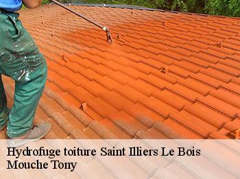 Hydrofuge toiture  saint-illiers-le-bois-78980 Mouche Tony