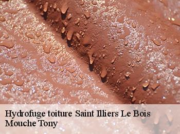 Hydrofuge toiture