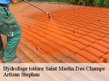 Hydrofuge toiture  saint-martin-des-champs-78790 Artisan Stephan