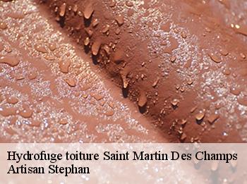 Hydrofuge toiture