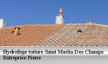 Hydrofuge toiture saint-martin-des-champs-78790 Entreprise Pierre