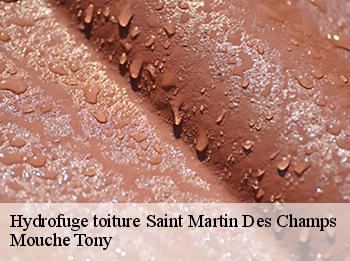 Hydrofuge toiture