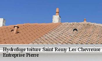 Hydrofuge toiture  saint-remy-les-chevreuse-78470 Entreprise Pierre