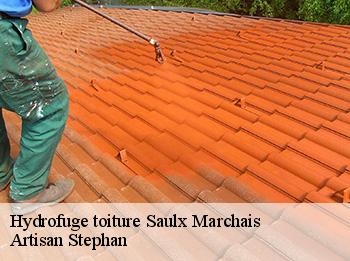 Hydrofuge toiture  saulx-marchais-78650 Artisan Stephan