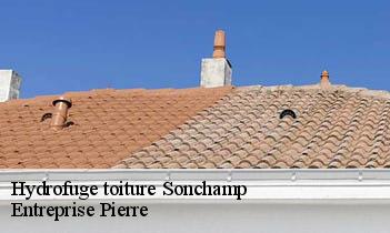 Hydrofuge toiture  sonchamp-78120 Entreprise Pierre