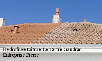 Hydrofuge toiture le-tartre-gaudran-78113 Entreprise Pierre