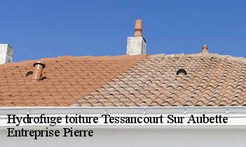 Hydrofuge toiture tessancourt-sur-aubette-78250 Entreprise Pierre