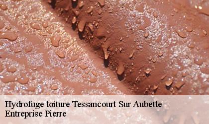 Hydrofuge toiture