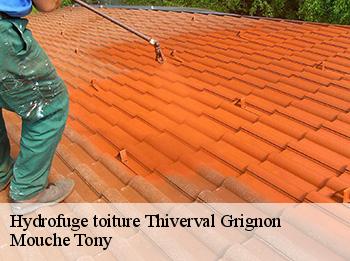 Hydrofuge toiture  thiverval-grignon-78850 Mouche Tony