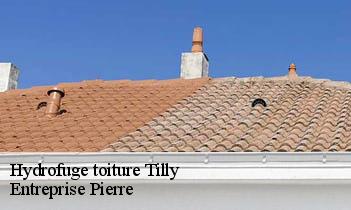 Hydrofuge toiture tilly-78790 Entreprise Pierre