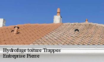 Hydrofuge toiture  trappes-78190 Entreprise Pierre