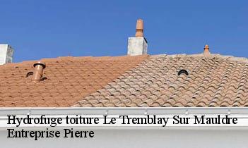 Hydrofuge toiture le-tremblay-sur-mauldre-78490 Entreprise Pierre