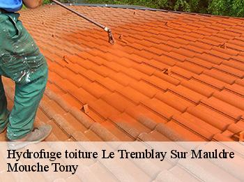 Hydrofuge toiture  le-tremblay-sur-mauldre-78490 Mouche Tony