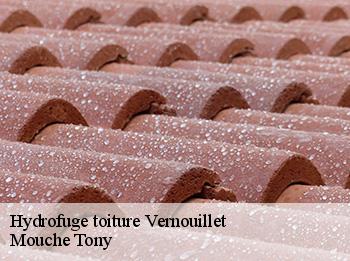 Hydrofuge toiture  78540