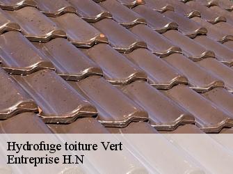 Hydrofuge toiture  78930