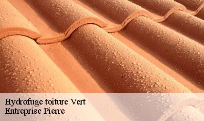Hydrofuge toiture  78930