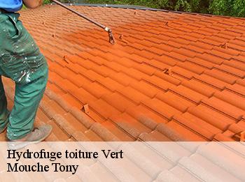 Hydrofuge toiture  vert-78930 Mouche Tony