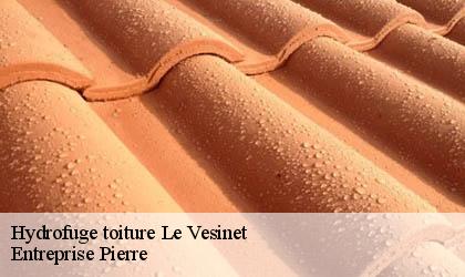 Hydrofuge toiture 78110