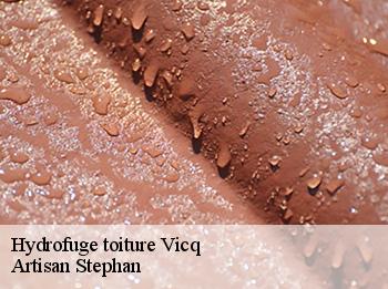 Hydrofuge toiture