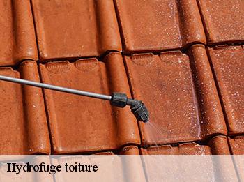 Hydrofuge toiture