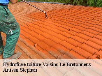 Hydrofuge toiture  voisins-le-bretonneux-78960 Artisan Stephan