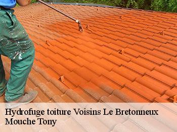 Hydrofuge toiture voisins-le-bretonneux-78960 Mouche Tony
