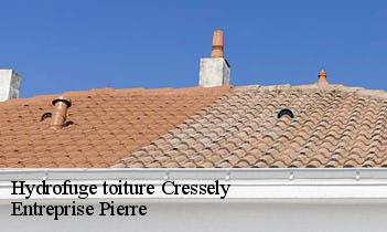 Hydrofuge toiture cressely-78114 Entreprise Pierre