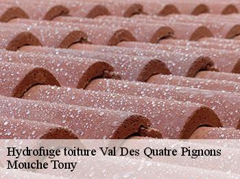 Hydrofuge toiture  78650