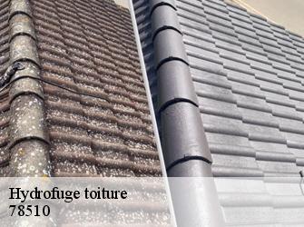 Hydrofuge toiture  78510