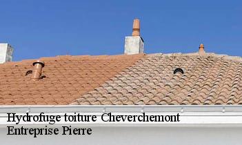 Hydrofuge toiture  cheverchemont-78510 Entreprise Pierre