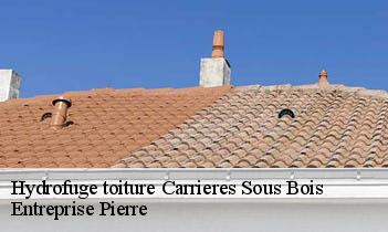 Hydrofuge toiture carrieres-sous-bois-78600 Entreprise Pierre