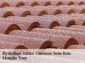 Hydrofuge toiture 78600