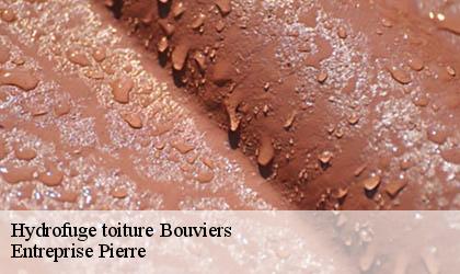 Hydrofuge toiture